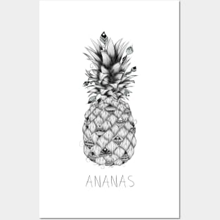 Ananas Posters and Art